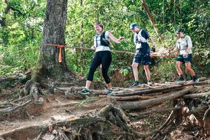 BIB: 
                            <button type="button" onclick="openModal(27716796)" class="btn btn-primary btn-sm float-right btn-popup" data-toggle="modal" data-target=".modal-high-quality">
                        <i class="fas fa-shopping-cart"></i> Add to Cart
                    </button>
                                            <button type="button" onclick="isThisMe(27716796, true)" class="btn btn-success btn-sm float-right btn-popup btn-isme hidden" data-toggle="tooltip" data-placement="bottom" title="นี่คือรูปของคุณใช่ไหม คลิกที่นี่เพื่อเอาเข้าอัลบั้ม">
                        <i class="fas fa-plus"></i> Add to album
                    </button>
                    <button type="button" onclick="isThisMe(27716796, false)" class="btn btn-warning btn-sm float-right btn-popup btn-isnotme hidden">
                        <i class="fas fa-ban"></i> Remove from album
                    </button>